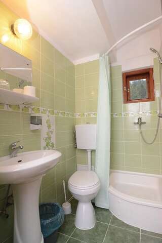 Гостевой дом Pensiunea Liziera Буштени Двухместный номер с 2 отдельными кроватями-2